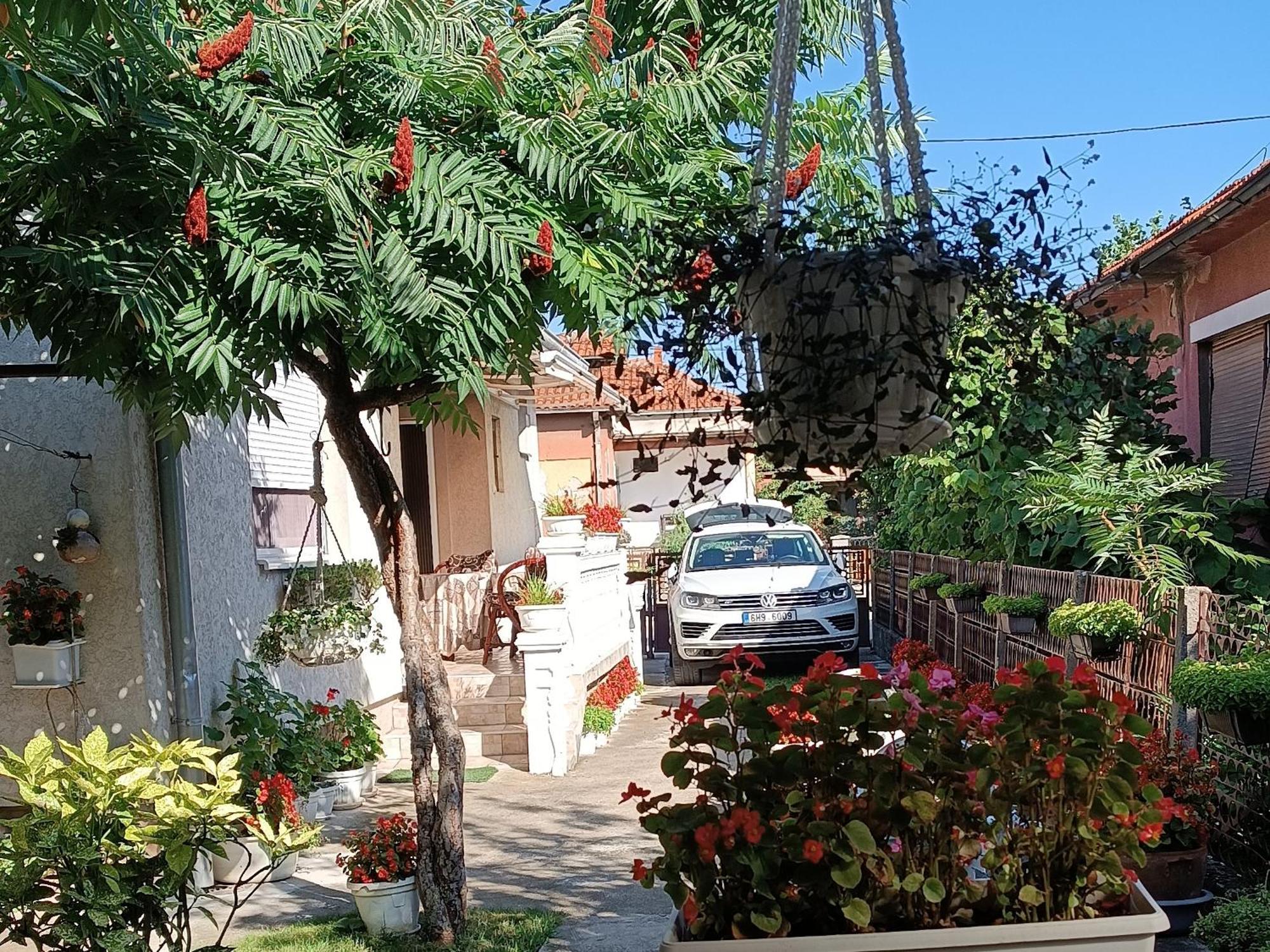 Apartman "Dom Stankovica" بايرت المظهر الخارجي الصورة