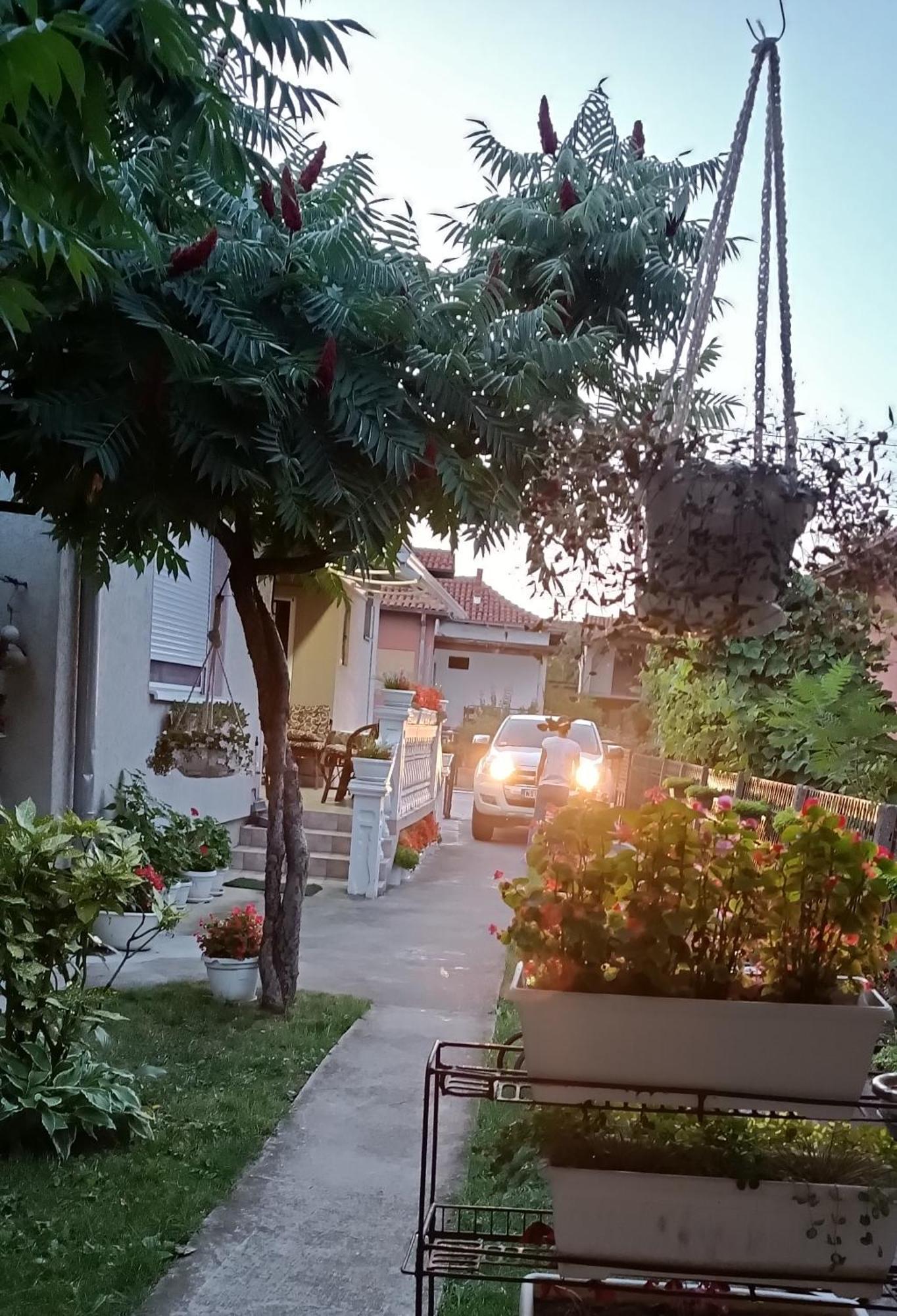 Apartman "Dom Stankovica" بايرت المظهر الخارجي الصورة